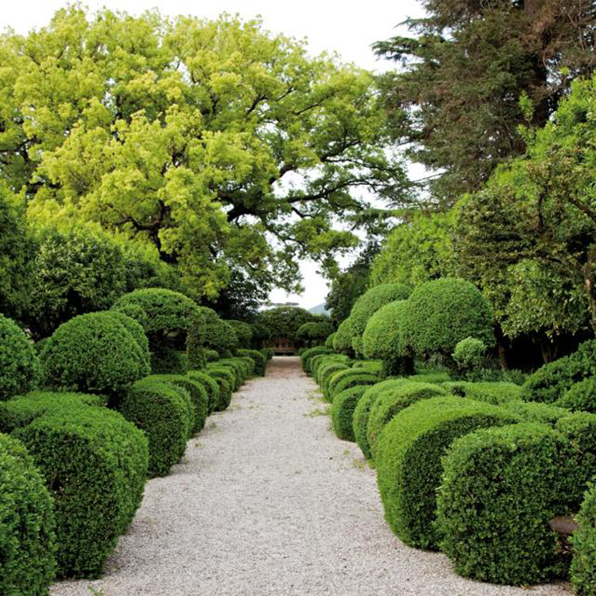 Giardino dei duchi Guevara di Bovino