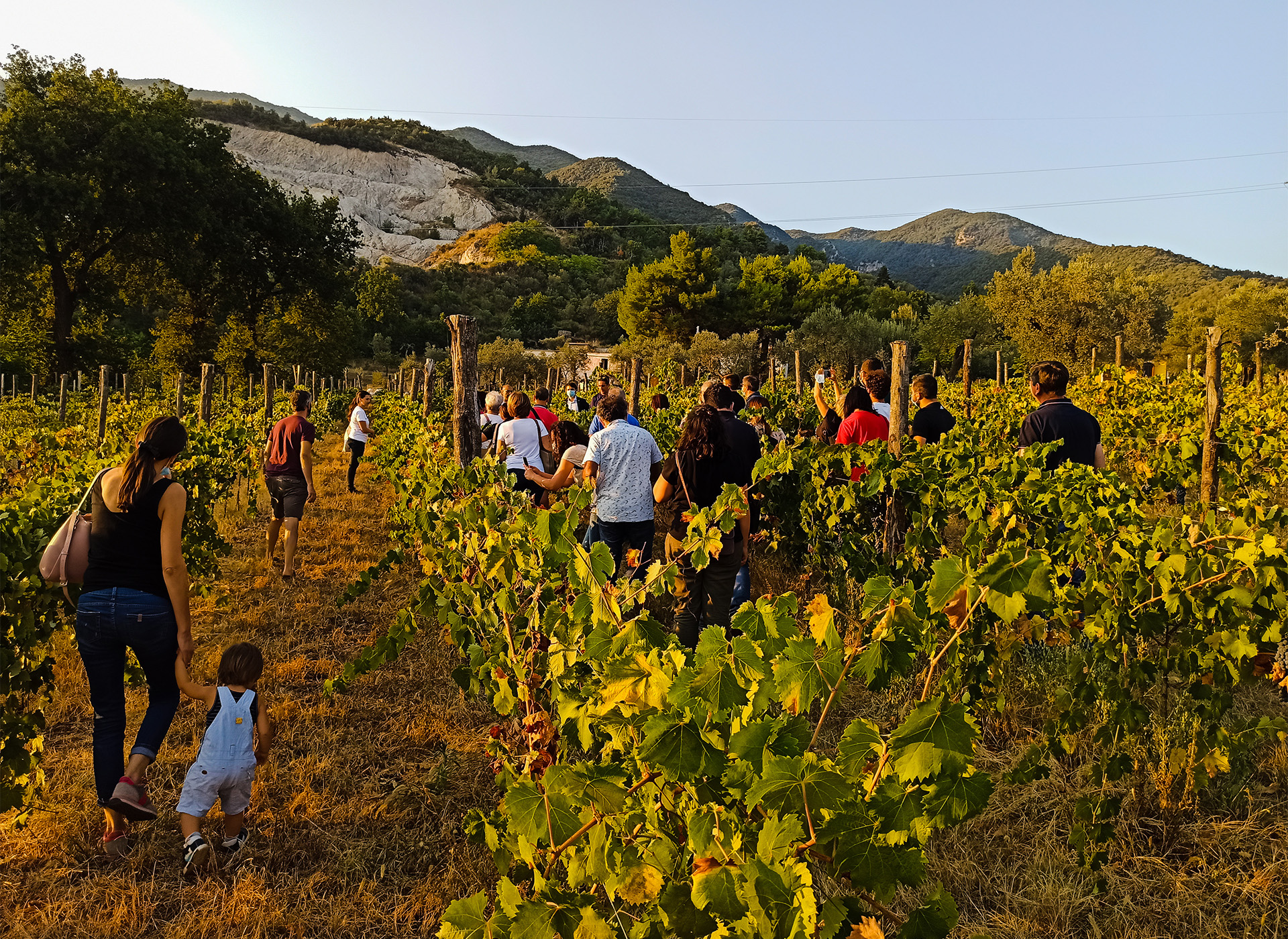 TERRE DELL’ANGELO TOUR (2)