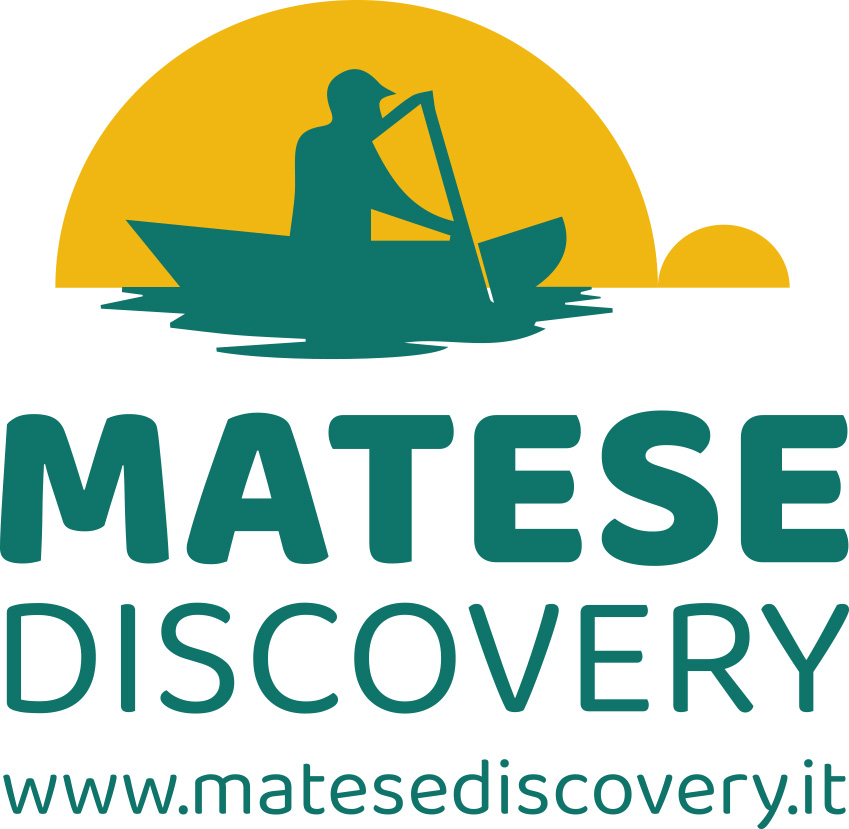 logomatesediscovery